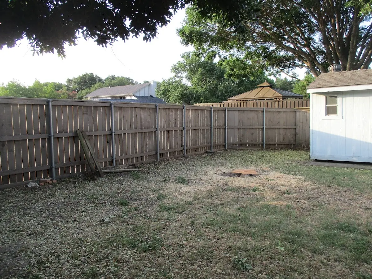 Cleared yard after professional tree removal in Selfridge